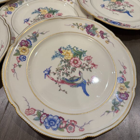 Castleton China six 6 DINNER Plates Phoenix USA Gold Flowers Scalloped Edge Rim - Picture 14 of 16
